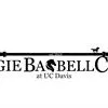 CLub Logo Image (Aggie Barbell Club at UC Davis)