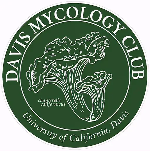 CLub Logo Image (Davis Mycology Club)