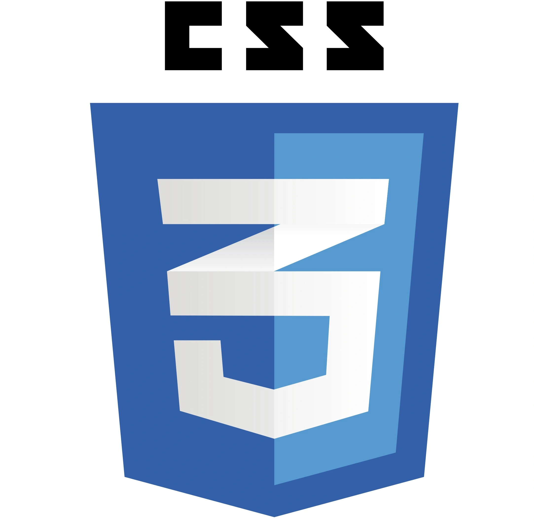 CSS Logo